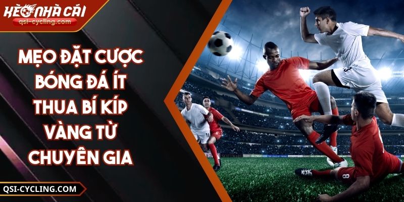 Mẹo Đặt Cược Bóng Đá Ít Thua Bí Kíp Vàng Từ Chuyên Gia