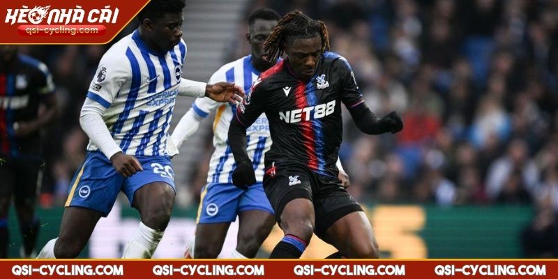 Crystal Palace VS Brighton 21:00 - 05/04 Premier League 3 Crystal Palace vs Brighton 21:00 - 05/04 thống kê và lịch sử