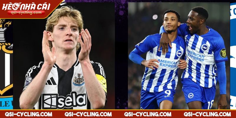 Nhận Định Brighton VS Newcastle 20:00 - 04/05 Premier League 2 Nhận định Brighton vs Newcastle 20:00 - 04/05 Premier League đánh giá tham vọng của Newcastle