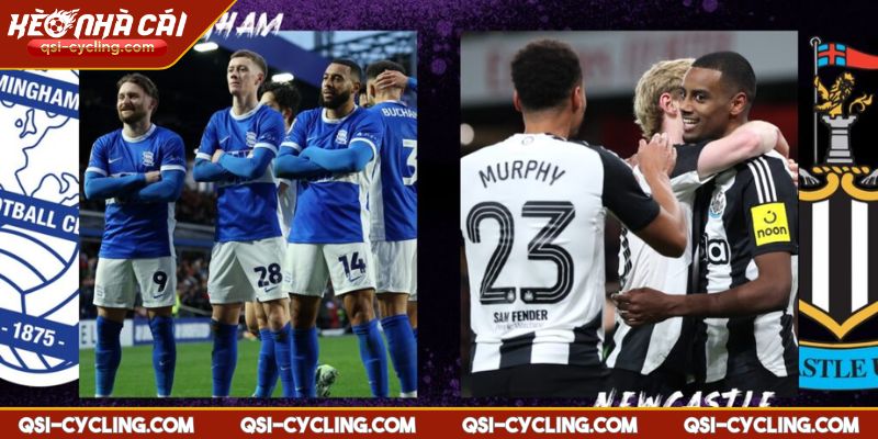 Nhận Định Brighton VS Newcastle 20:00 - 04/05 Premier League 3 Kèo châu Á