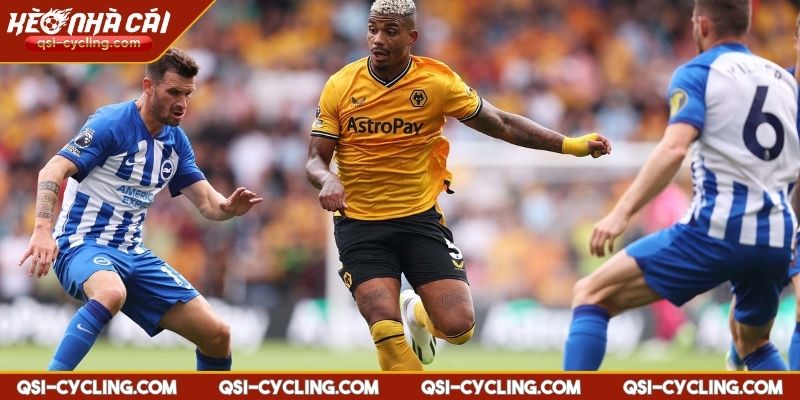 Nhận Định Wolves VS Brighton 21:00 - 10/05 Premier League 3 Nhận định Wolves vs Brighton 21:00 - 10/05 Premier League soi KÈO NHÀ CÁI