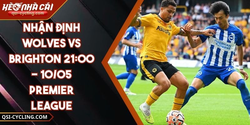 Nhận Định Wolves VS Brighton 21:00 - 10/05 Premier League 4 Nhận Định Wolves VS Brighton 21:00 - 10/05 Premier League